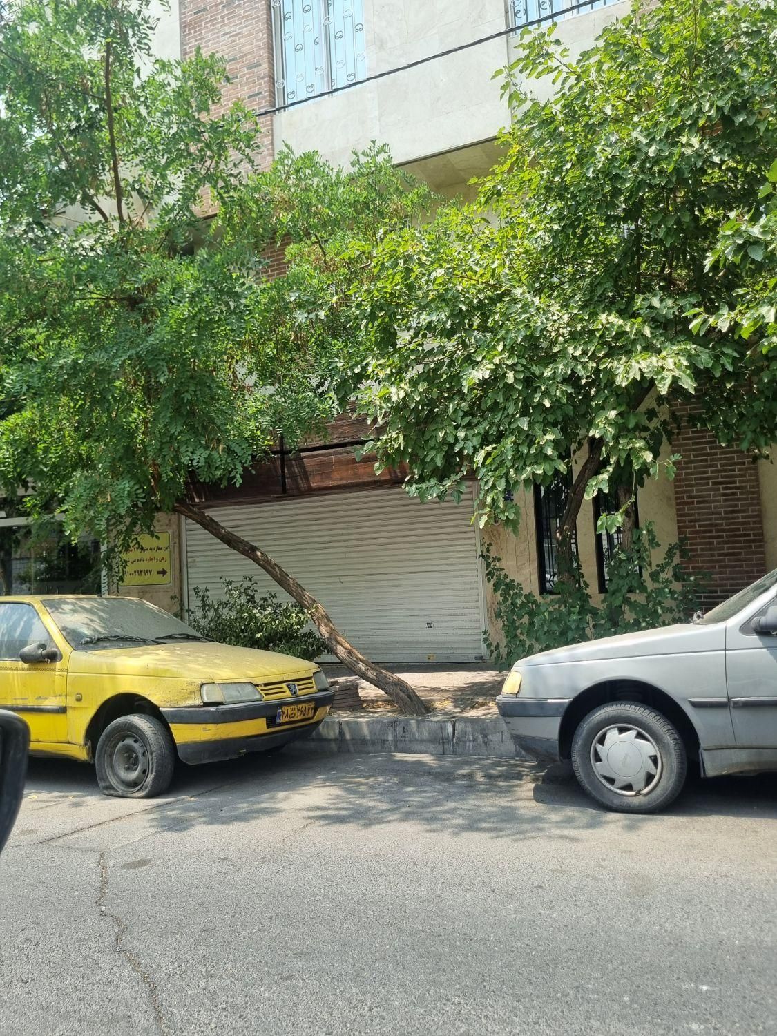 کد۲۵۰/اجاره ۲۷متر شهران /بر۵متر /مشاغل تمیز|اجارهٔ مغازه و غرفه|تهران, شهران شمالی|دیوار