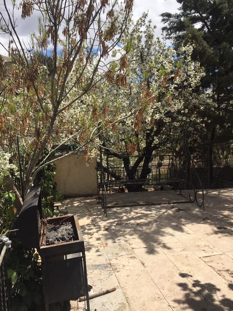 اجاره  سویت ویلا باغ  با حیاط سر سبز|اجارهٔ کوتاه‌مدت آپارتمان و سوئیت|لواسان, |دیوار