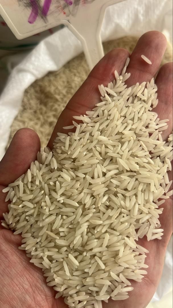 طارم استخوانی محلی درجه ۱پرمحصول|خوردنی و آشامیدنی|تهران, علی‌آباد|دیوار
