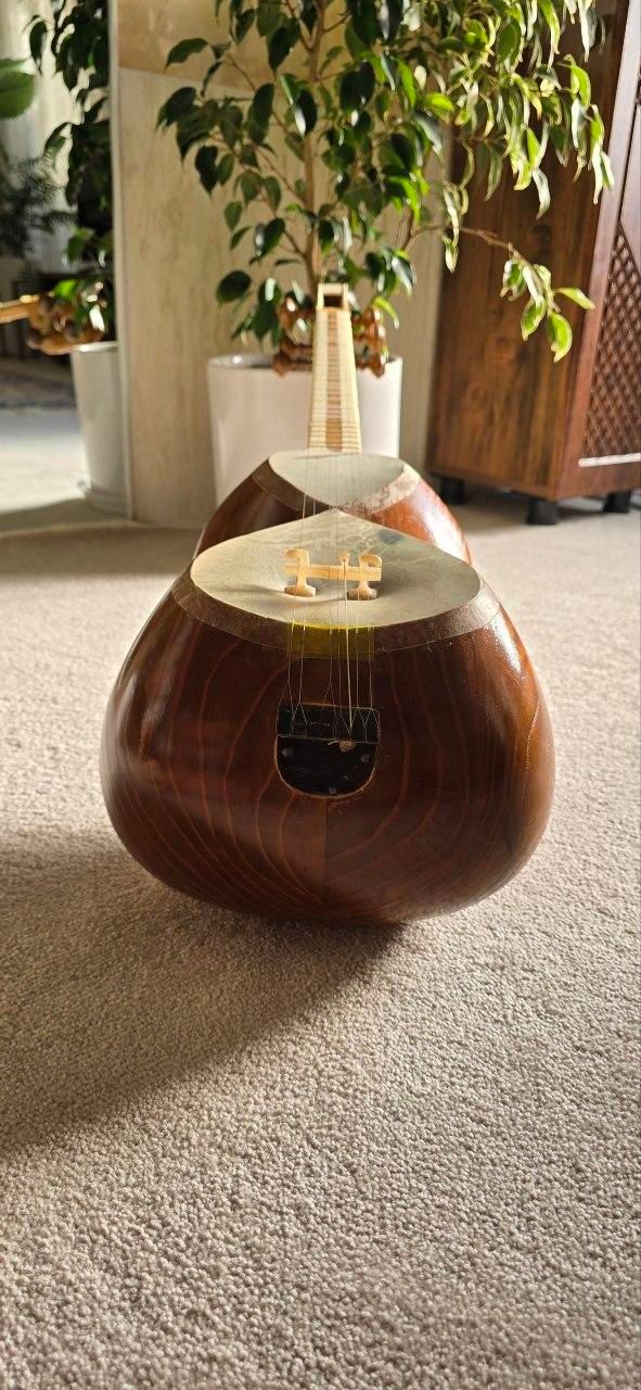 تار حرفه ای|سازهای سنتی|کاشمر, |دیوار