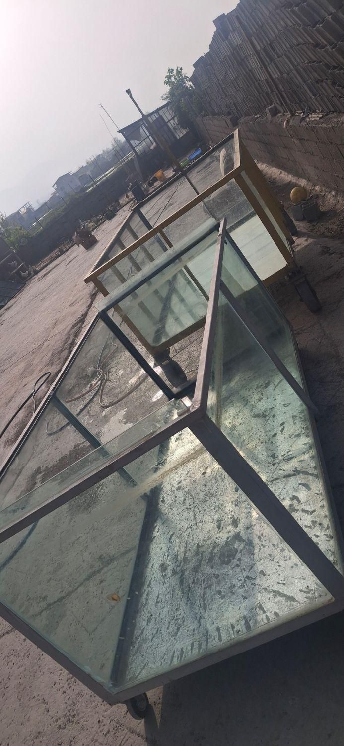 آکواریوم|ماهی|چمستان, |دیوار