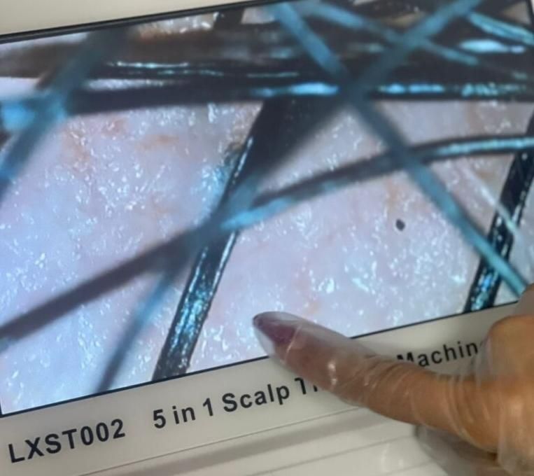 آموزش اسکالپ سر در مشهد/ آموزشگاه رسمی مهان|خدمات آموزشی|مشهد, وکیل‌آباد|دیوار