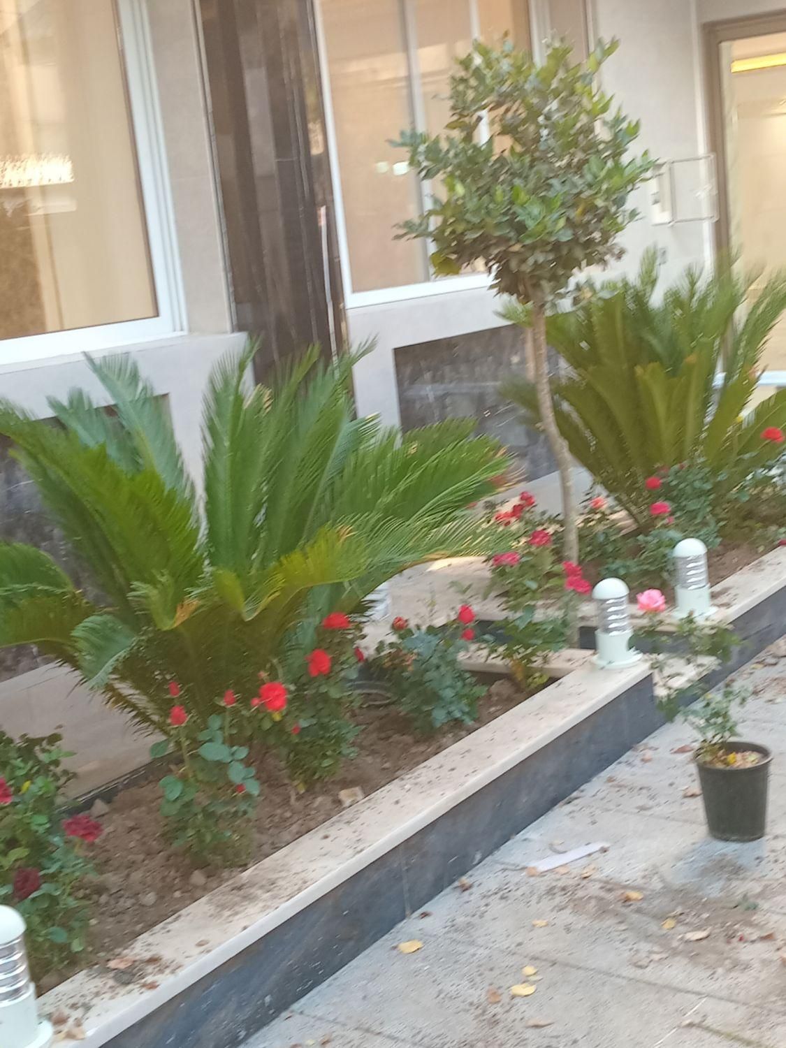 خدمات سمپاشی و باغبانی تخصصی سیار|خدمات باغبانی و درختکاری|اصفهان, شهریار|دیوار