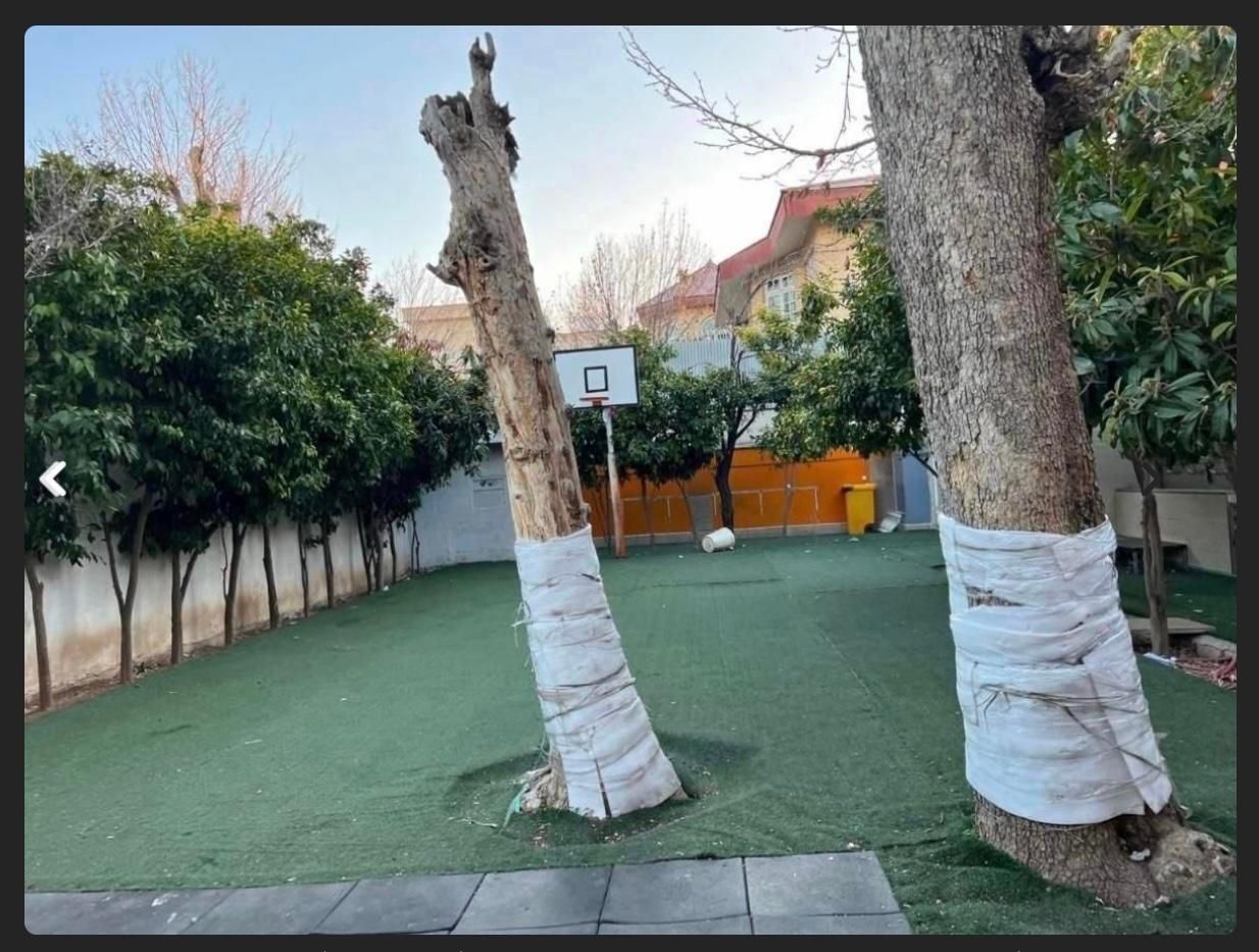 دریافت مدرک تحصیلی ( نهم - دیپلم -لیسانس)|خدمات آموزشی|شیراز, تپه تلویزیون|دیوار