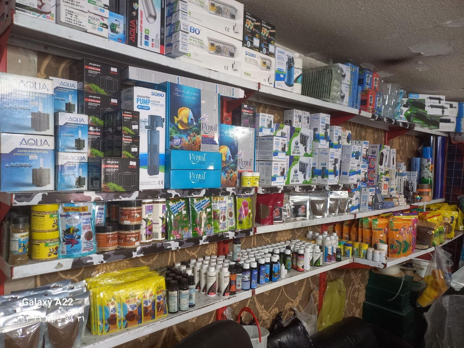 آکواریم فروشی|ماهی|اسلامشهر, مطهری|دیوار