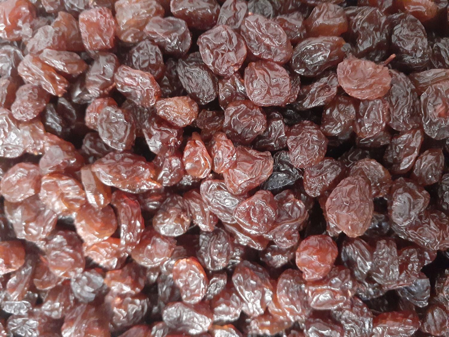 پخش انواع کشمش، با تخفیفات ویژه|خوردنی و آشامیدنی|تاکستان, |دیوار