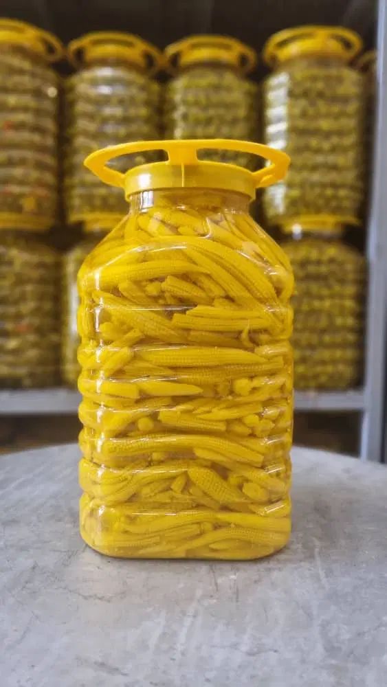 انواع و اقسام ترشیجات،زیتون،خیارشور به قیمت تولیدی|خوردنی و آشامیدنی|اصفهان, جاوان|دیوار
