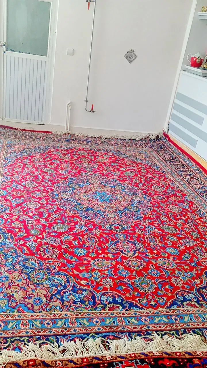 فرش دست باف وتمیز نو بدون پوسیدگی ورفتگی|فرش|آذرشهر, |دیوار