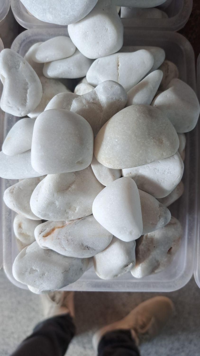 سنگ بدون رگه و بدون اهک|خدمات باغبانی و درختکاری|تبریز, |دیوار