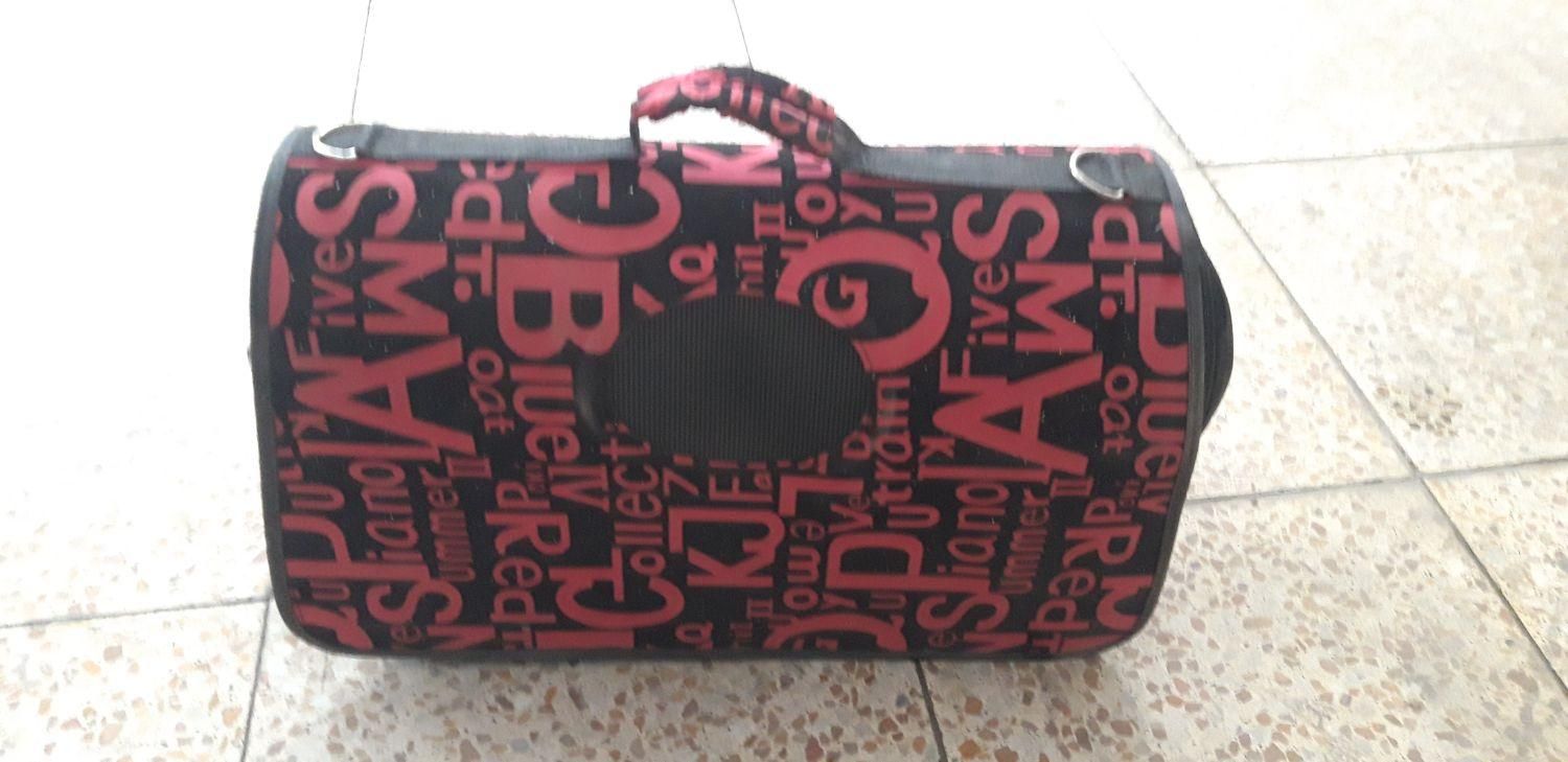 جای گربه|لوازم جانبی حیوانات|مشکین‌دشت, |دیوار