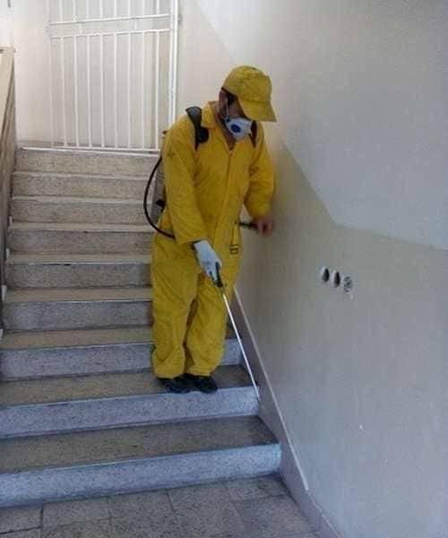 شرکت سم پاشی موریانه زدایی سمپاشی سوسک ساس موش|خدمات نظافت|خرمشهر, |دیوار