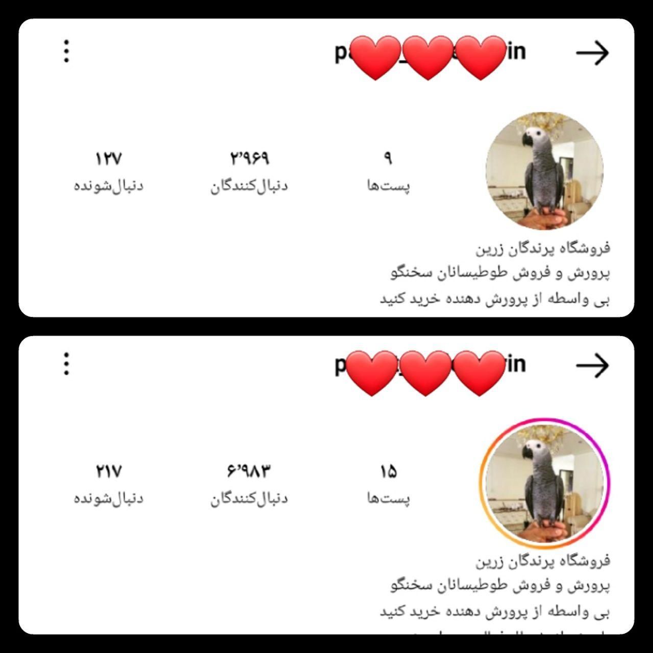 فالوور واقعی لایک پیج فالور اینستاگرام بازدید ممبر|لوازم جانبی موبایل و تبلت|اصفهان, رسالت|دیوار