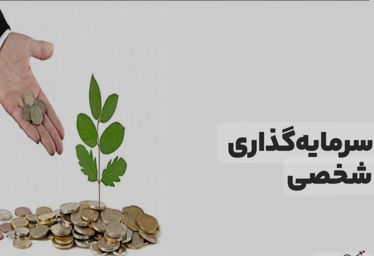 جذب سرمایه گذار|خدمات مالی، حسابداری، بیمه|تهران, اختیاریه|دیوار