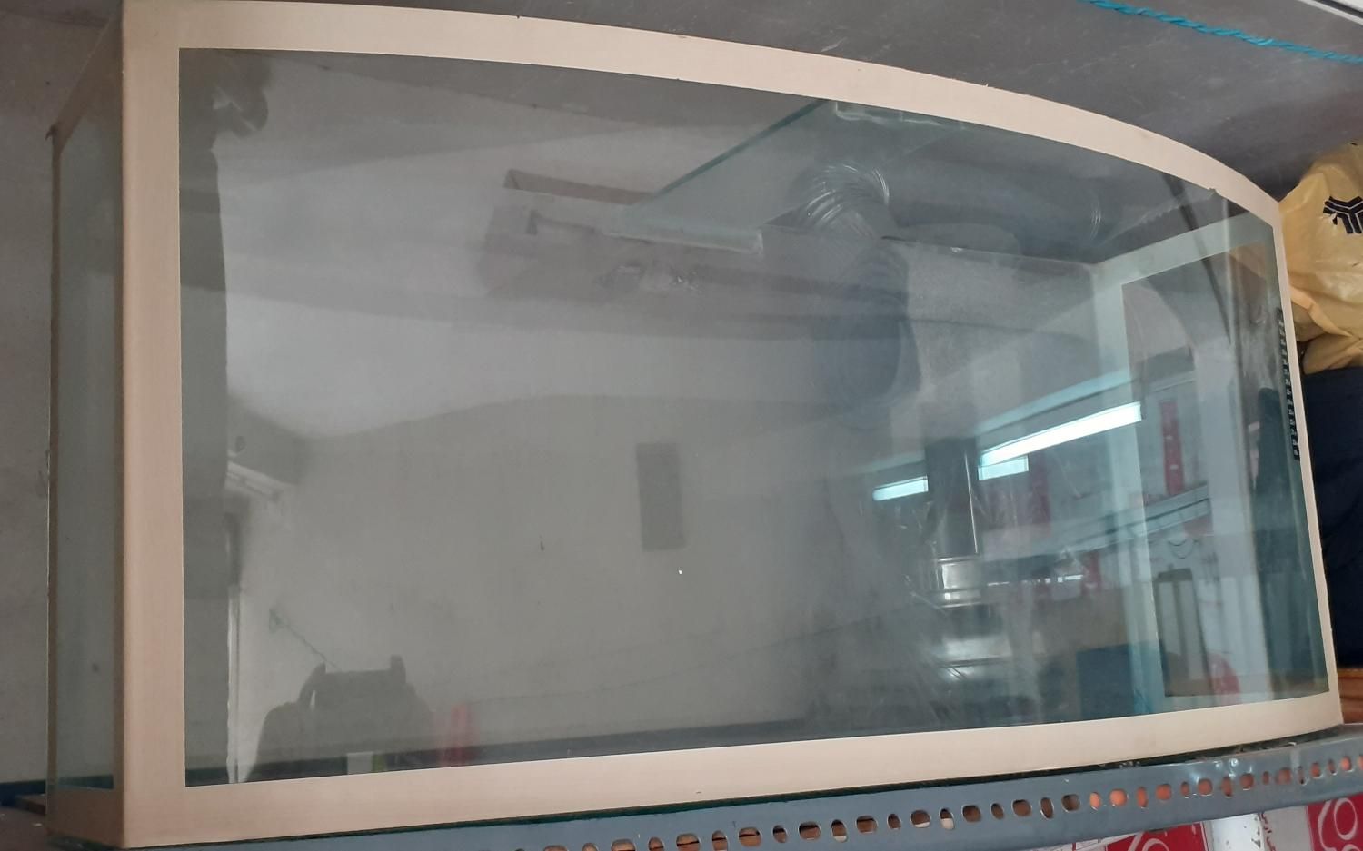 آکواریوم شیشه خم|ماهی|تبریز, |دیوار