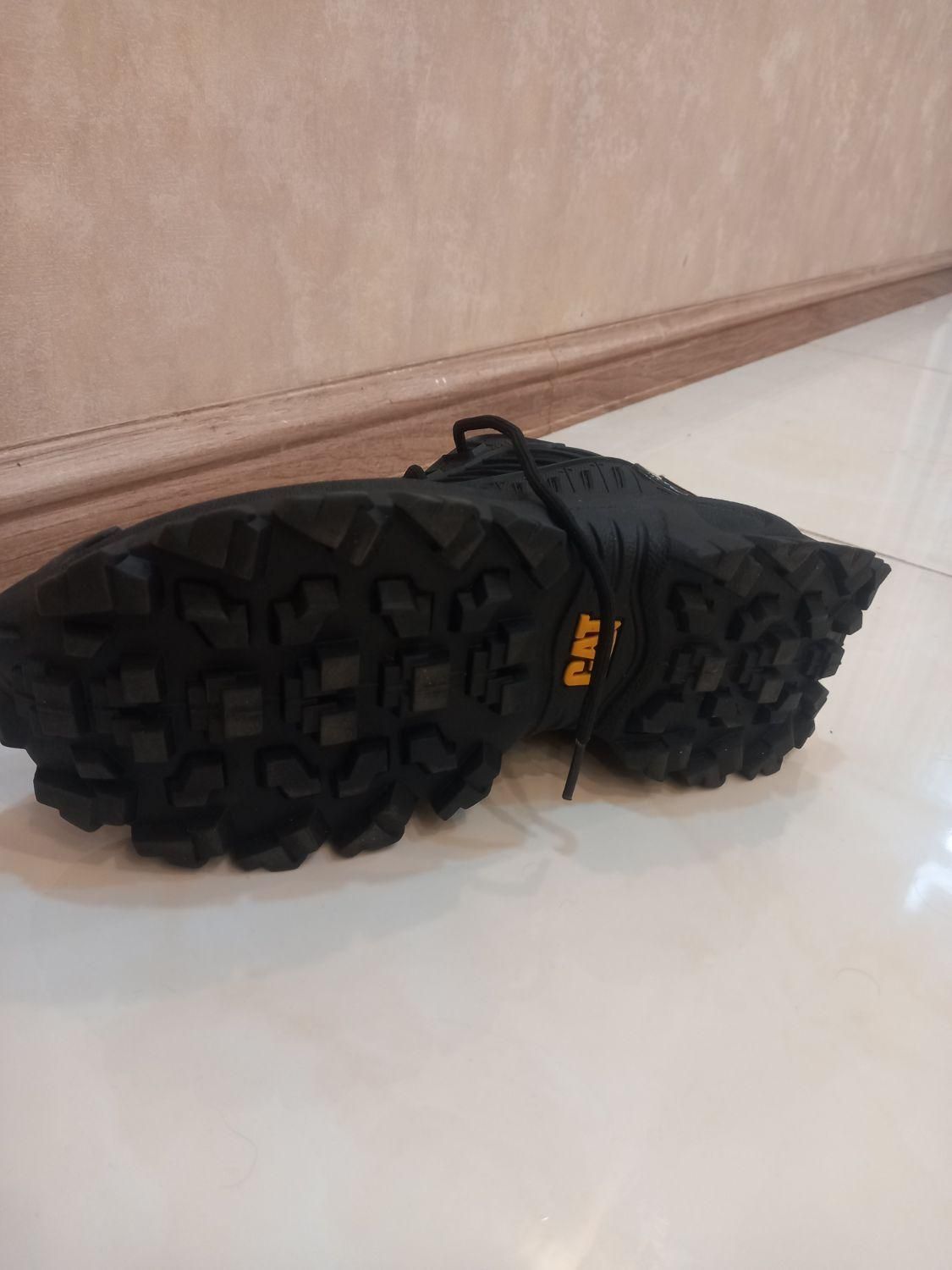 کفش کت اصل|کیف، کفش، کمربند|شیراز, بعثت|دیوار