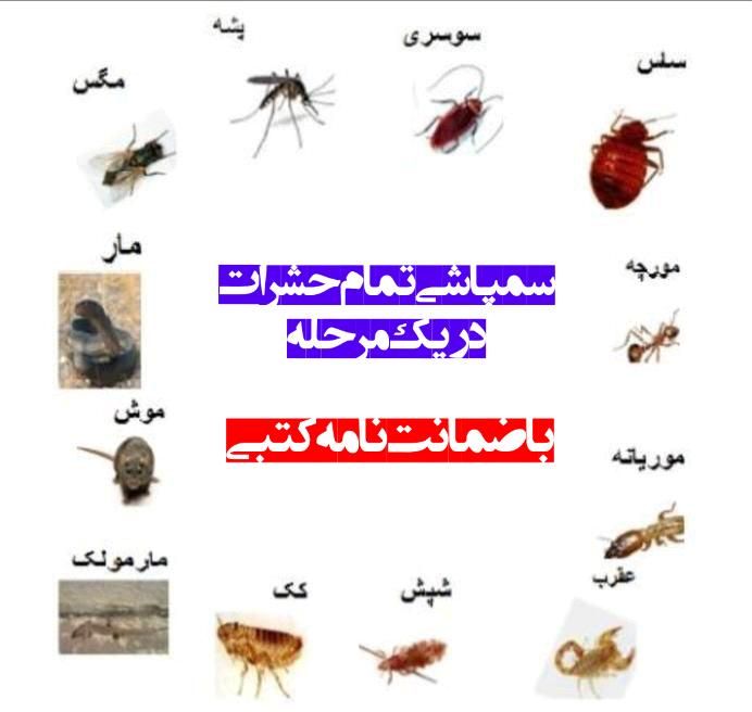 سمپاشی صدردصد‌تضمینی‌سم پاشی‌سوسک‌وساس و...|خدمات نظافت|تهران, آذری|دیوار