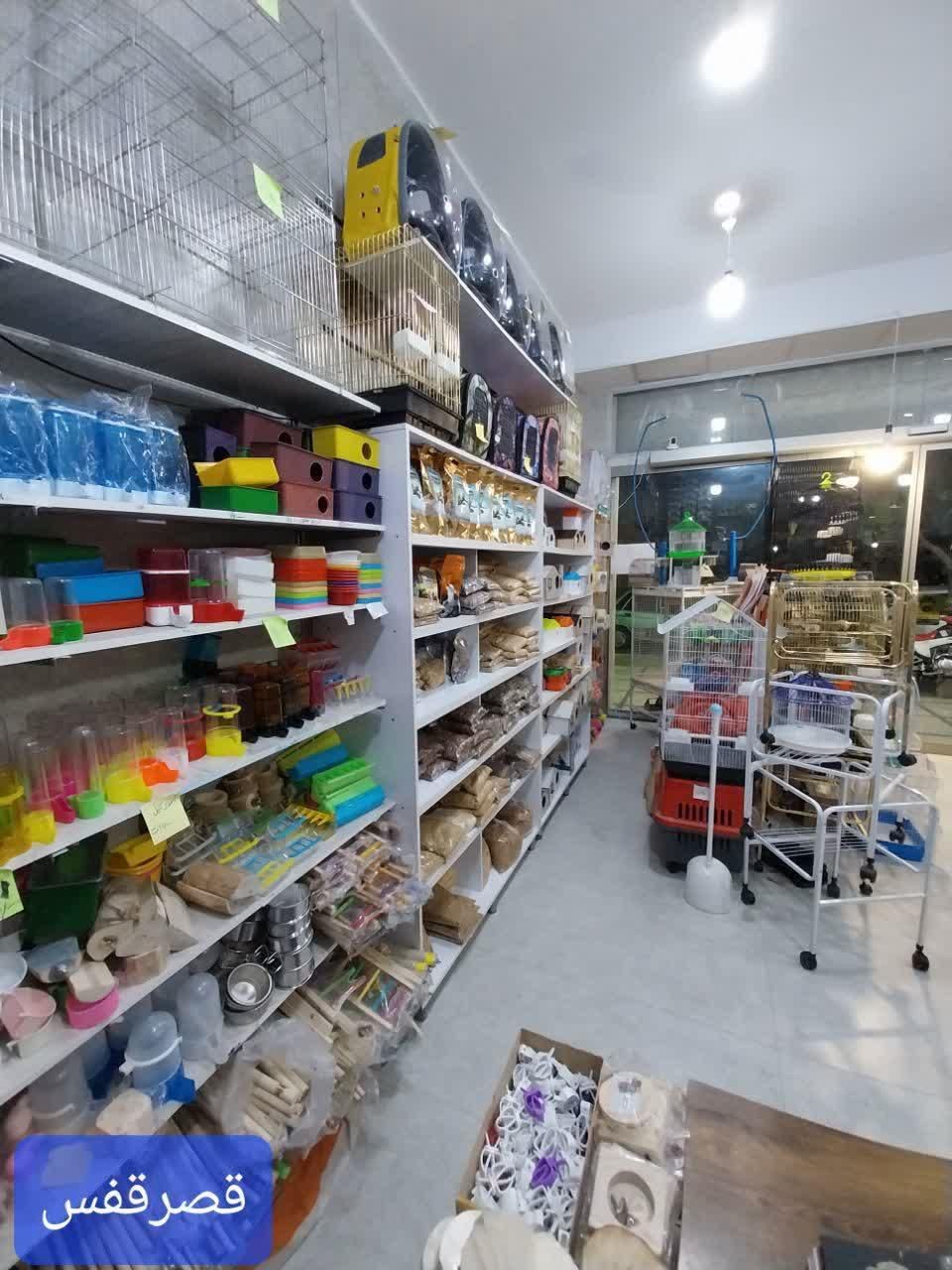 ملزومات پرندگان.دان|لوازم جانبی حیوانات|قم, پردیسان|دیوار