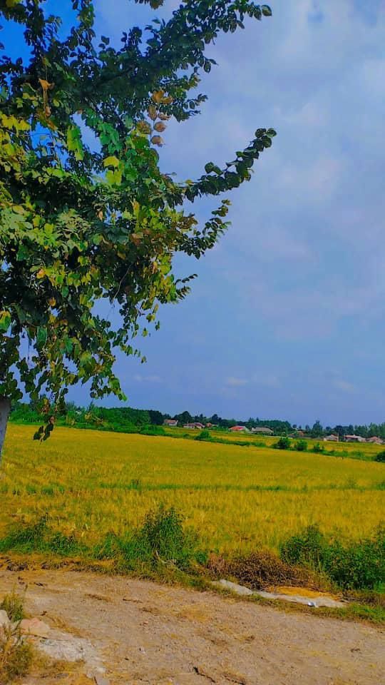 ویلا تک خواب روستایی|اجارهٔ کوتاه‌مدت آپارتمان و سوئیت|فومن, |دیوار