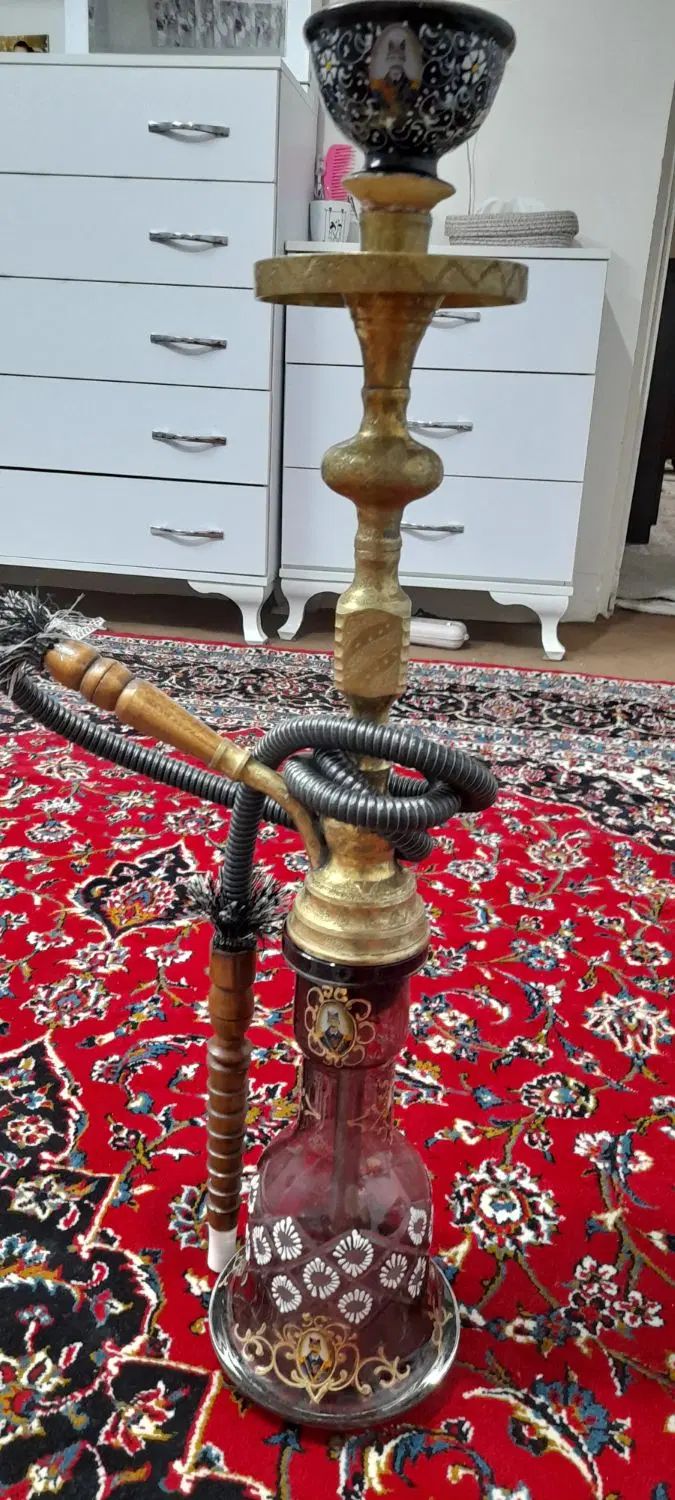 گرینچیک عروس هلندی طوطی برزیلی قناری سهره گلدین|پرنده|اسلام‌شهر, شهرک واوان|دیوار