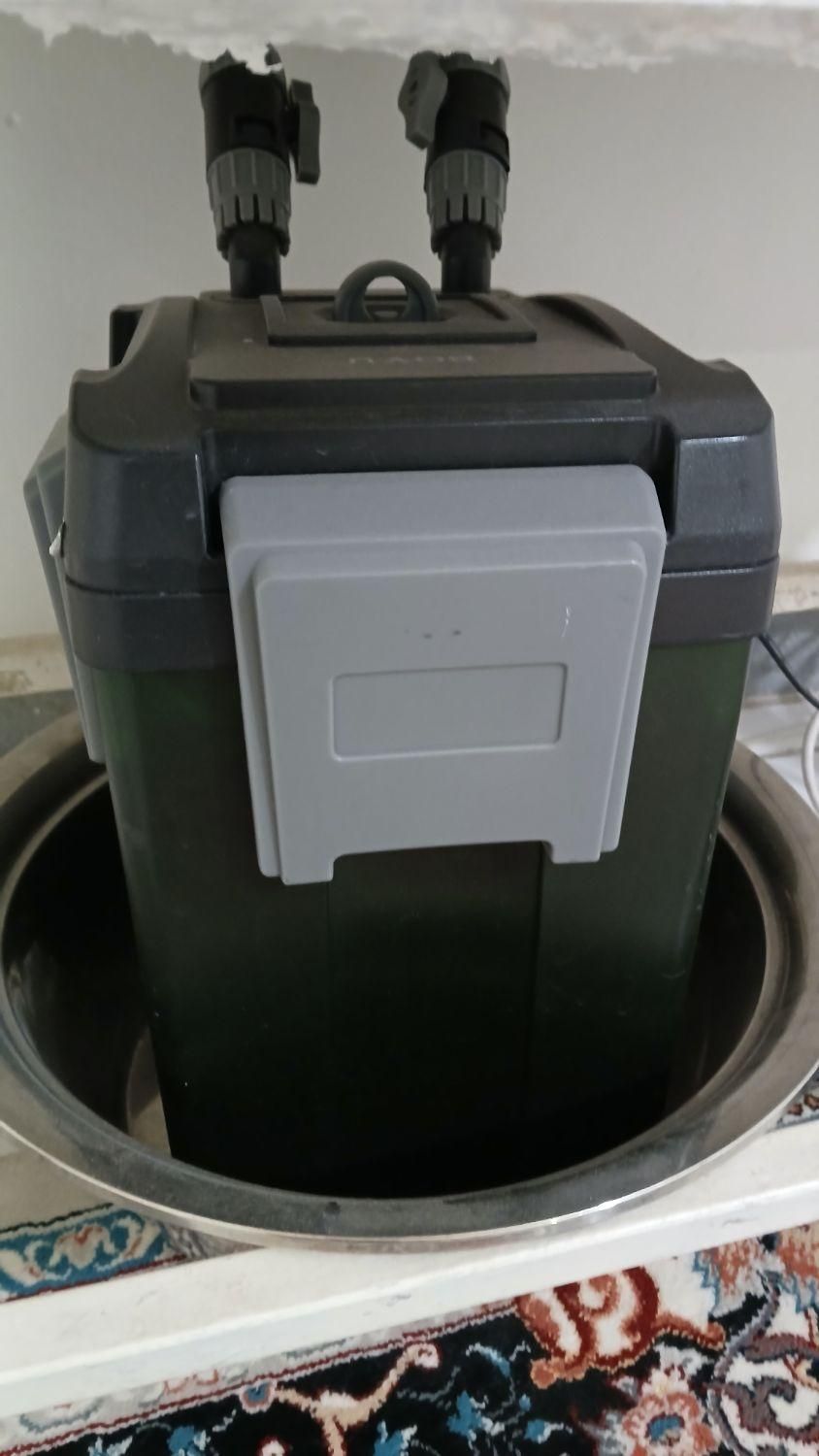 آکواریم|ماهی|قدس, شهر‌قدس|دیوار