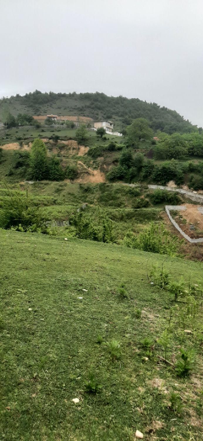 فروش ویژه ی زمین در سوادکوه شهر زیراب|فروش زمین و ملک کلنگی|زیرآب, |دیوار