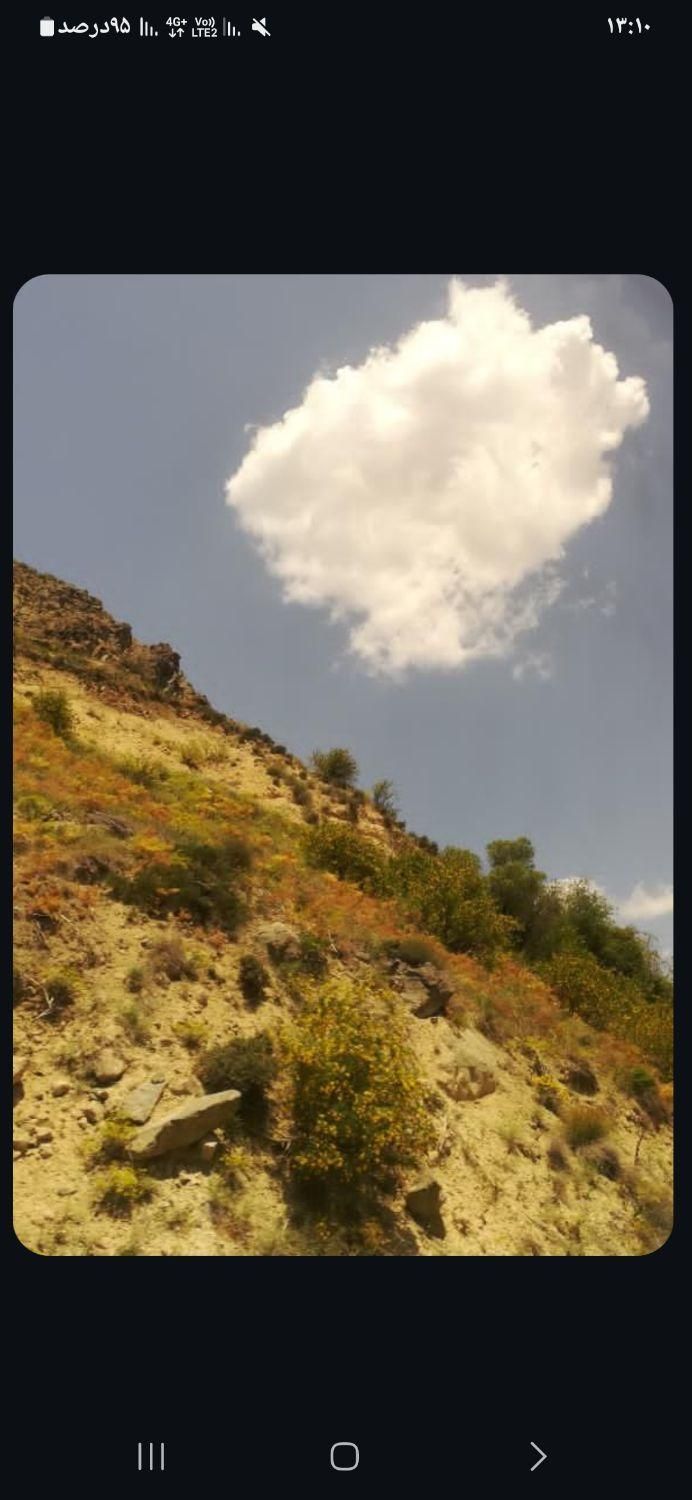 اسکان رایگان(اردبیل)|اسکان اضطراری|اردبیل, |دیوار