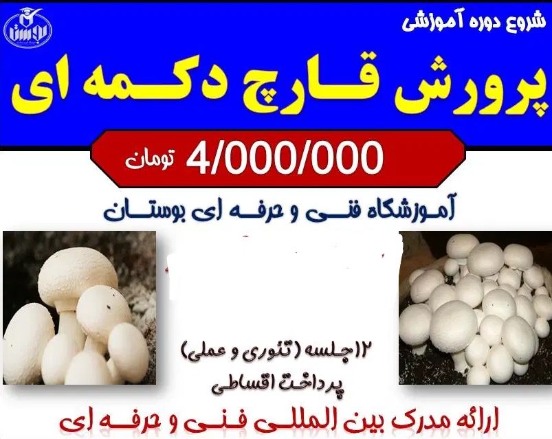 آموزش پرورش قارچ دکمه ای در  آموزشگاه  بوستان|خدمات آموزشی|رشت, سعدی (تختی)|دیوار