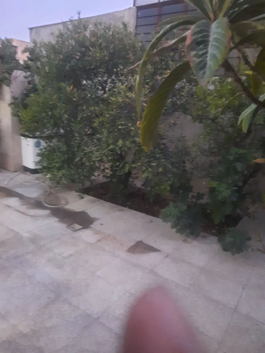 منزل مبله دربست ویلایی مناسب شیک پسندان|اجارهٔ کوتاه‌مدت آپارتمان و سوئیت|شیراز, دلجو|دیوار