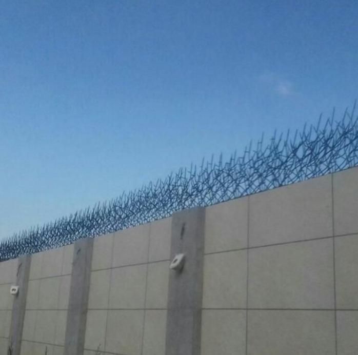 تولید حفاظ شاخ گوزنی مستقیم از درب کارخونه خرید کن|خدمات پیشه و مهارت|بجنورد, |دیوار