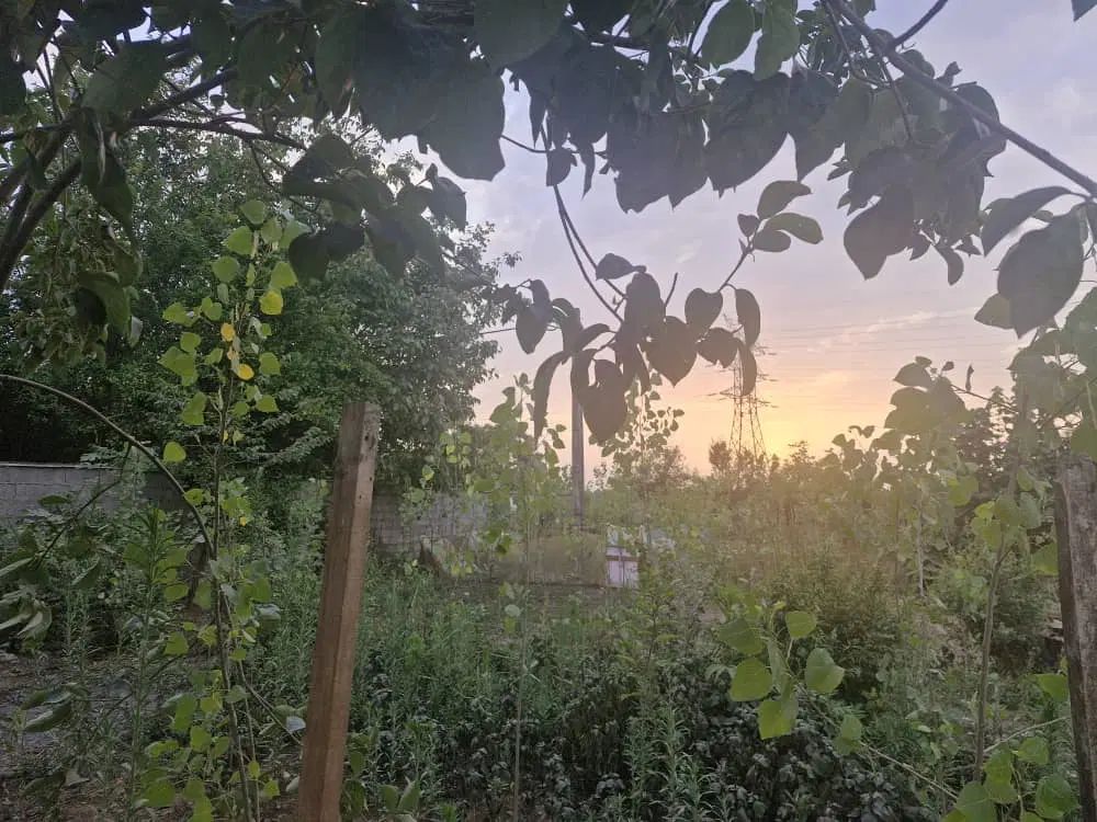 زمین مسکونی ۲۴۲ متر|فروش زمین و ملک کلنگی|رشت, پسیخان|دیوار