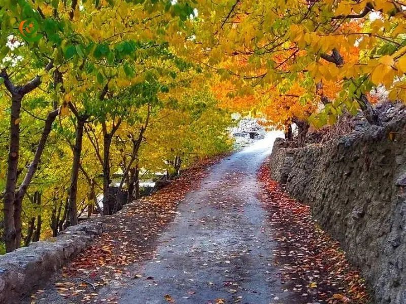 ۷۰۰ متر باغ در سنگان ۱۱ کیلومتری شمال غرب تهران|فروش خانه و ویلا|تهران, شهران شمالی|دیوار