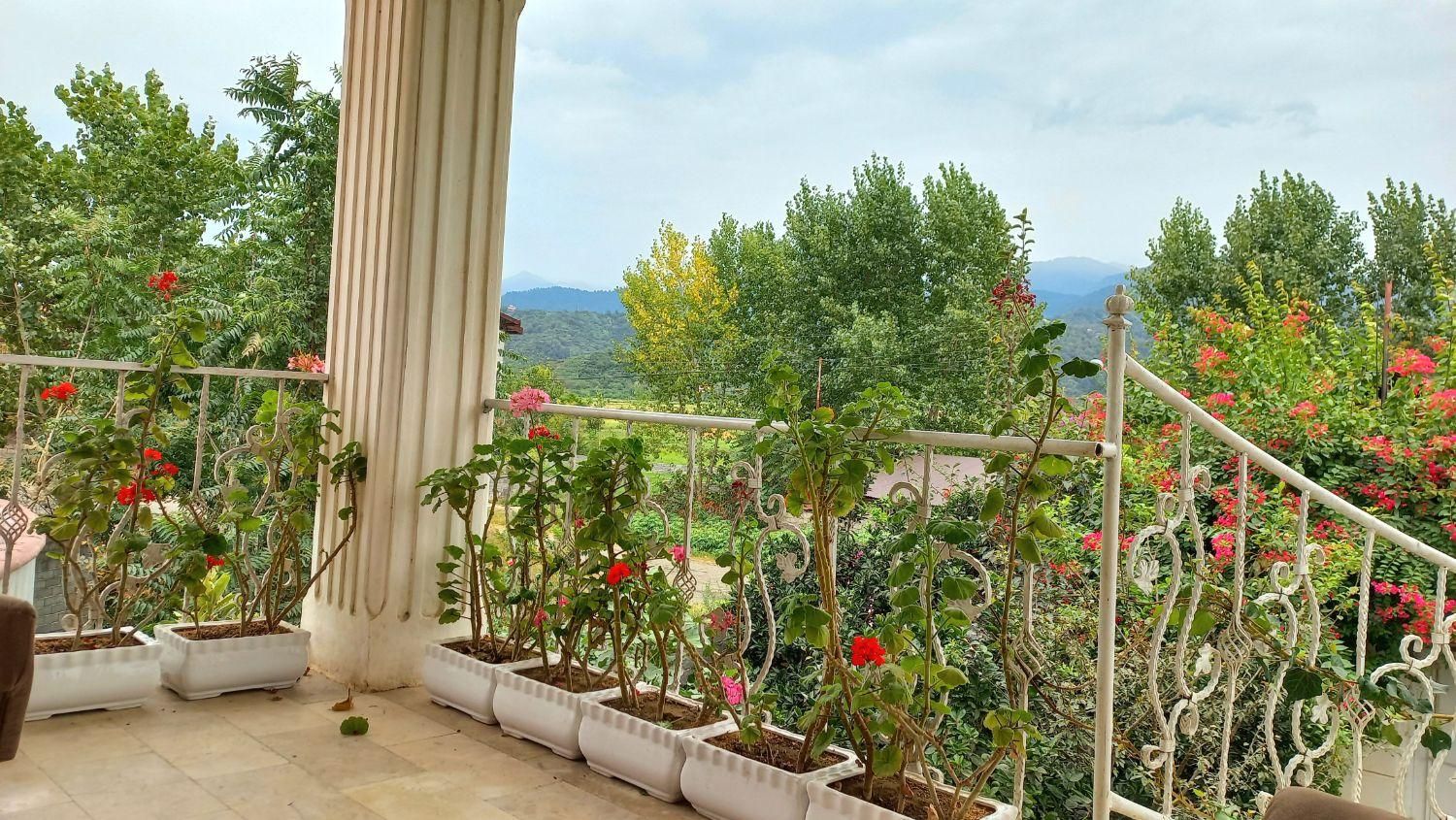 اجاره ویلا شبانه در  شمال کلاچای رحیم آباد|اجارهٔ کوتاه‌مدت ویلا و باغ|کلاچای, |دیوار