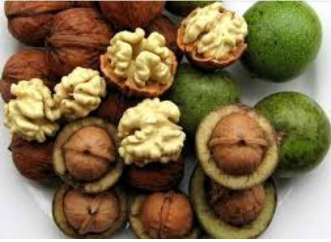 انجیر گردو|خوردنی و آشامیدنی|اصفهان, توپخانه ارتش|دیوار