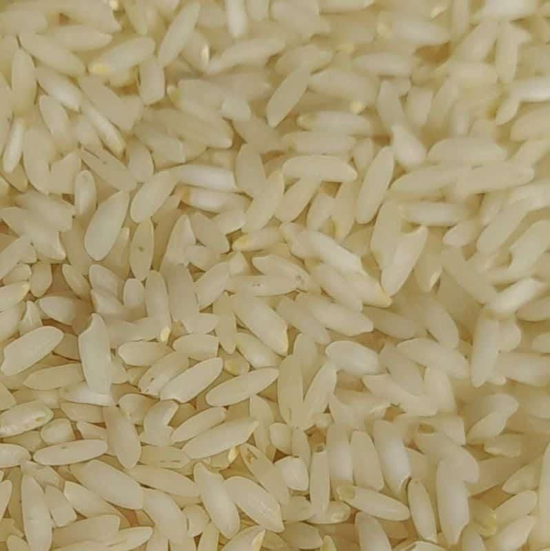 فروش برنج چمپا درج یک از کشاورز|خوردنی و آشامیدنی|اهواز, کیانشهر|دیوار