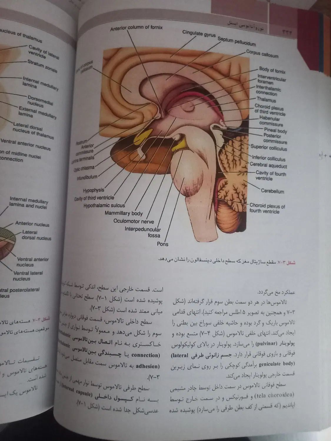 کتاب نوروآناتومی  اسنل|کتاب و مجله آموزشی|اصفهان, طامه|دیوار