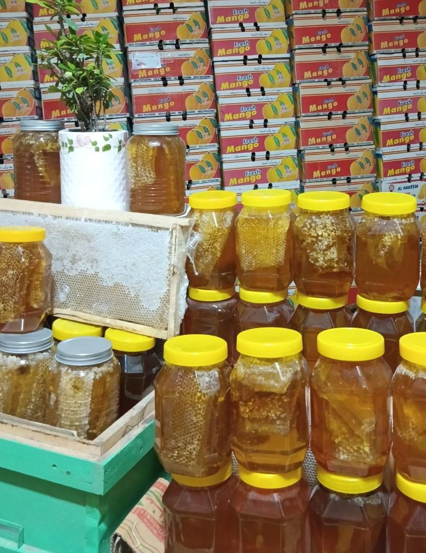 گون بهاره آویشن مرکبات...|خوردنی و آشامیدنی|سبزوار, باهنر|دیوار