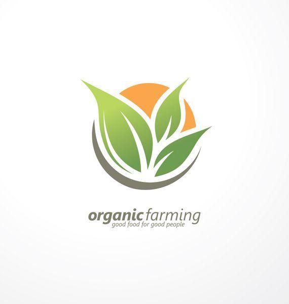 بازدید و کارشناسی باغ و زراعت|خدمات باغبانی و درختکاری|مسجد سلیمان, |دیوار