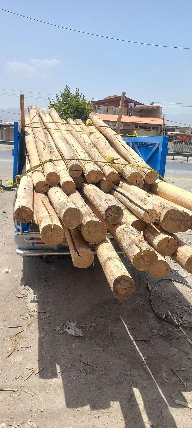 خریدارتیر چوبی خشک سقفی وانواع چوب تر|خدمات باغبانی و درختکاری|نهاوند, |دیوار