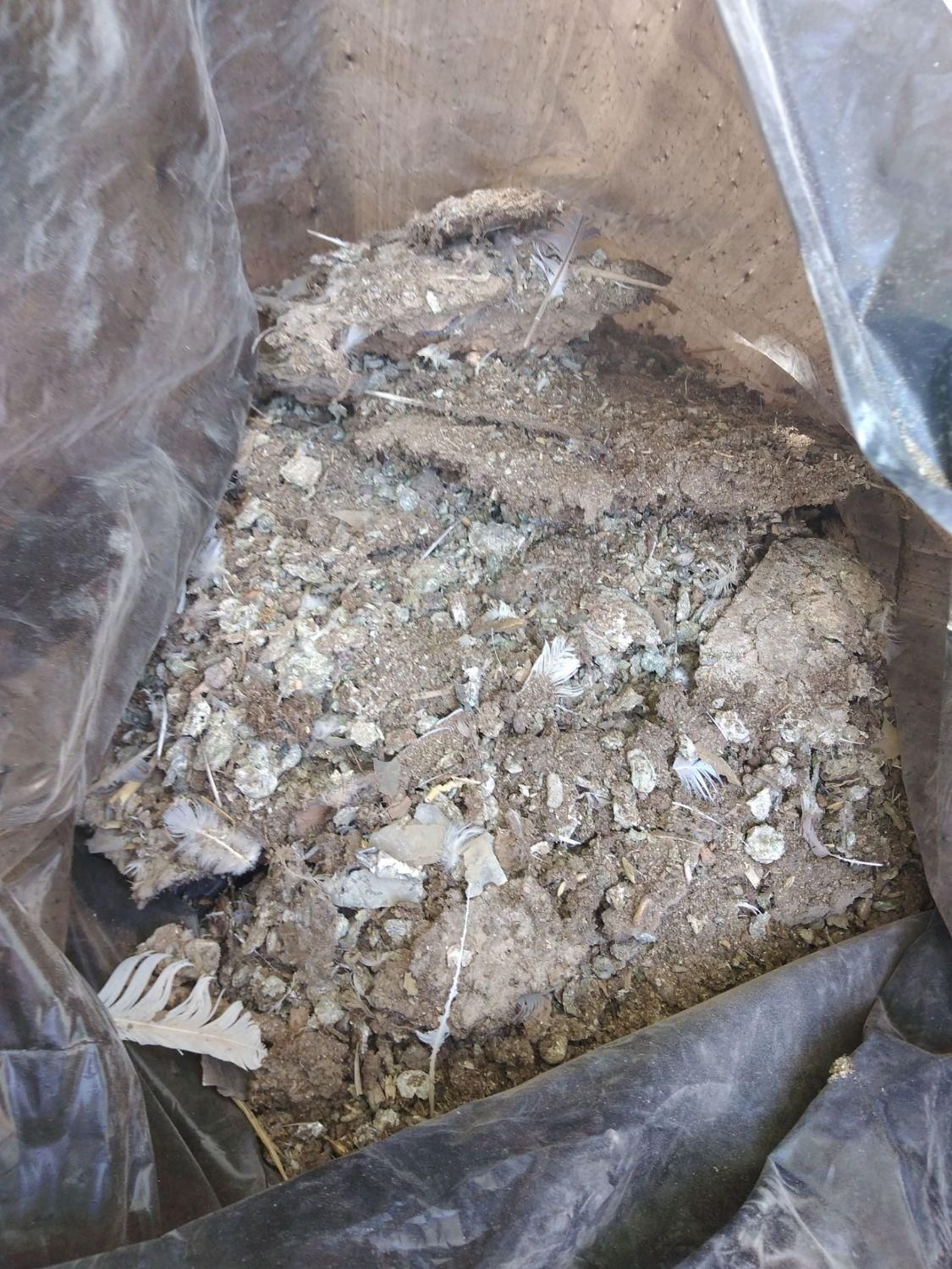 زل کبوتر|لوازم جانبی حیوانات|شاهین‌شهر, شهرک گلدیس|دیوار