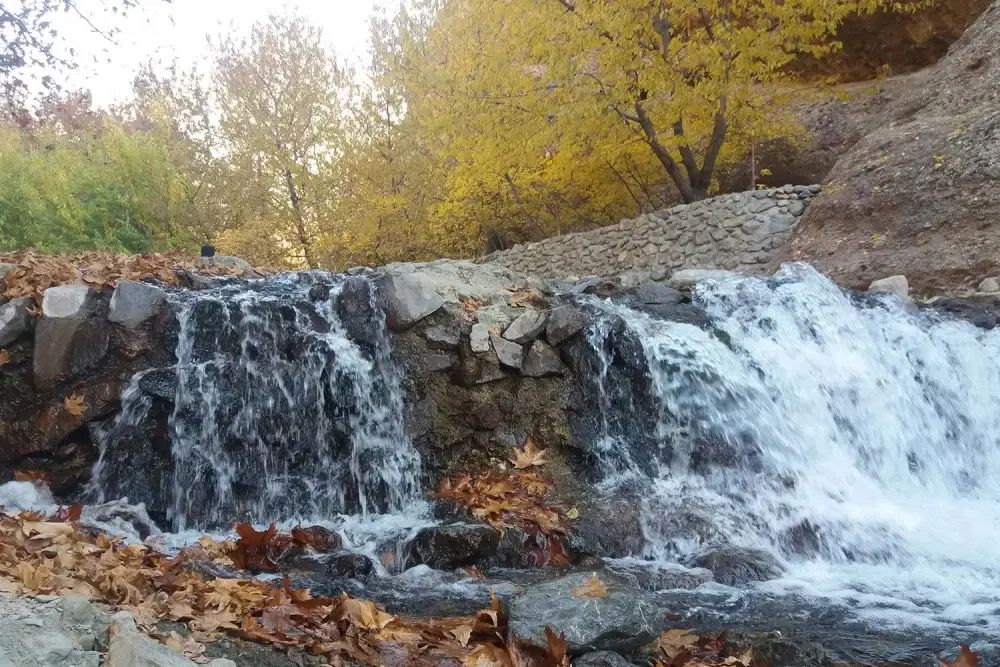 آف لحظه آخری تور بوژان فردا جمعه ۷ شهریور|تور و چارتر|سبزوار, هویزه|دیوار