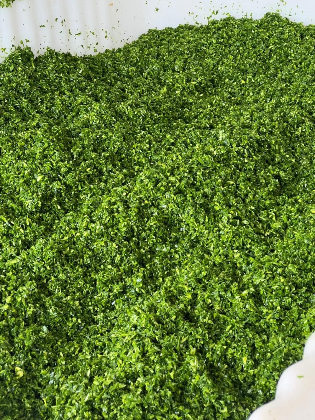 پخش بزرگ سبزی کرج|خوردنی و آشامیدنی|کرج, آق تپه|دیوار