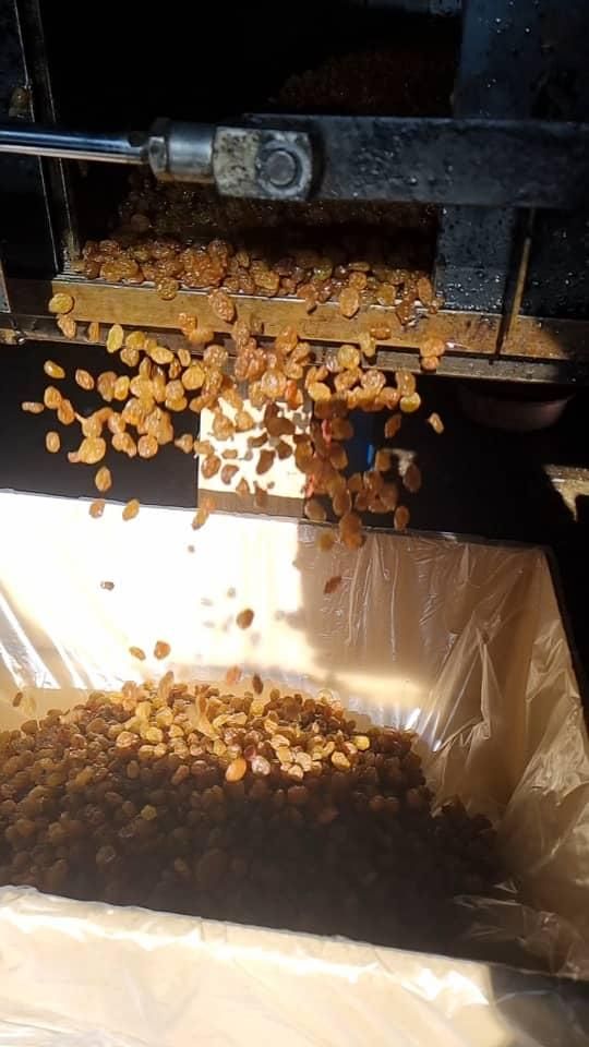 کشمش پلویی ملایر|عمدهفروشی|تهران, امیریه|دیوار