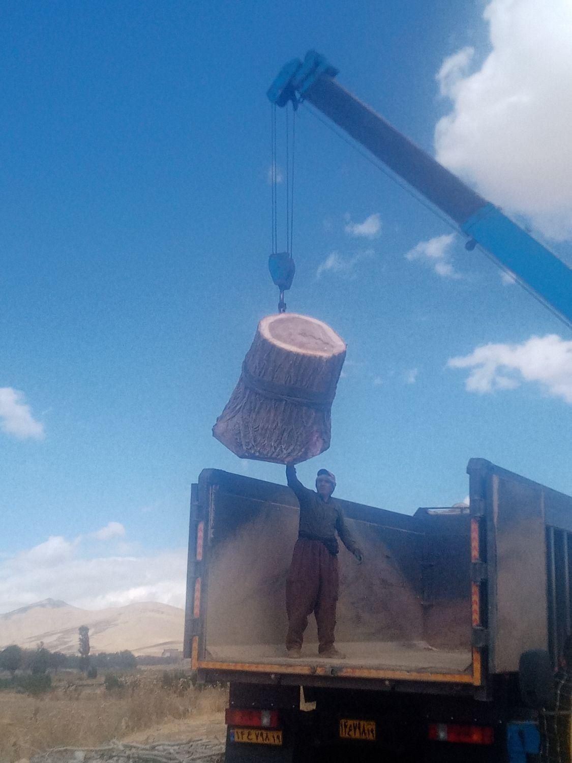 خرید و فروش چوب با بهترین قیمت|خدمات باغبانی و درختکاری|سنقر, |دیوار