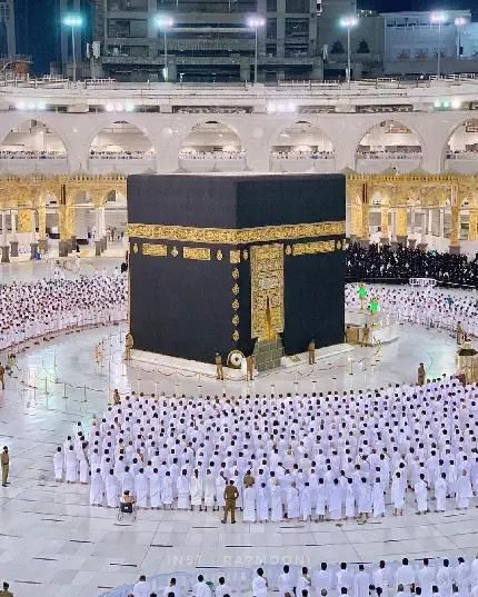 فیش حج تمتع برج11|تور و چارتر|گنبد کاووس, |دیوار