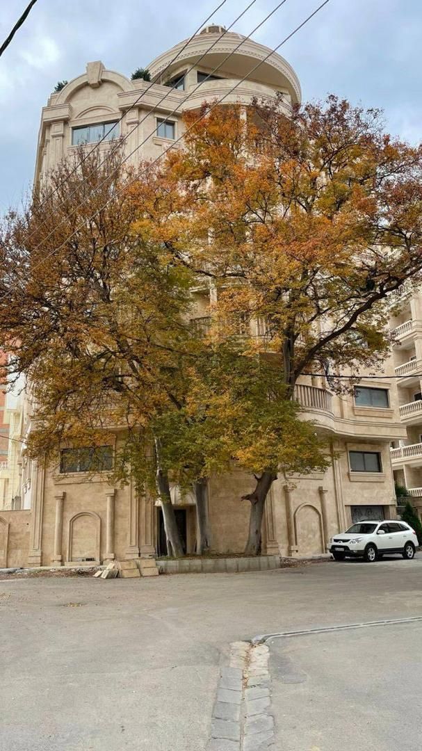 ۵۰۰متر مستغلات ۱۰پارک سهروردی شمالی اندیشه صاف|اجارهٔ خانه و ویلا|تهران, عباس‌آباد|دیوار