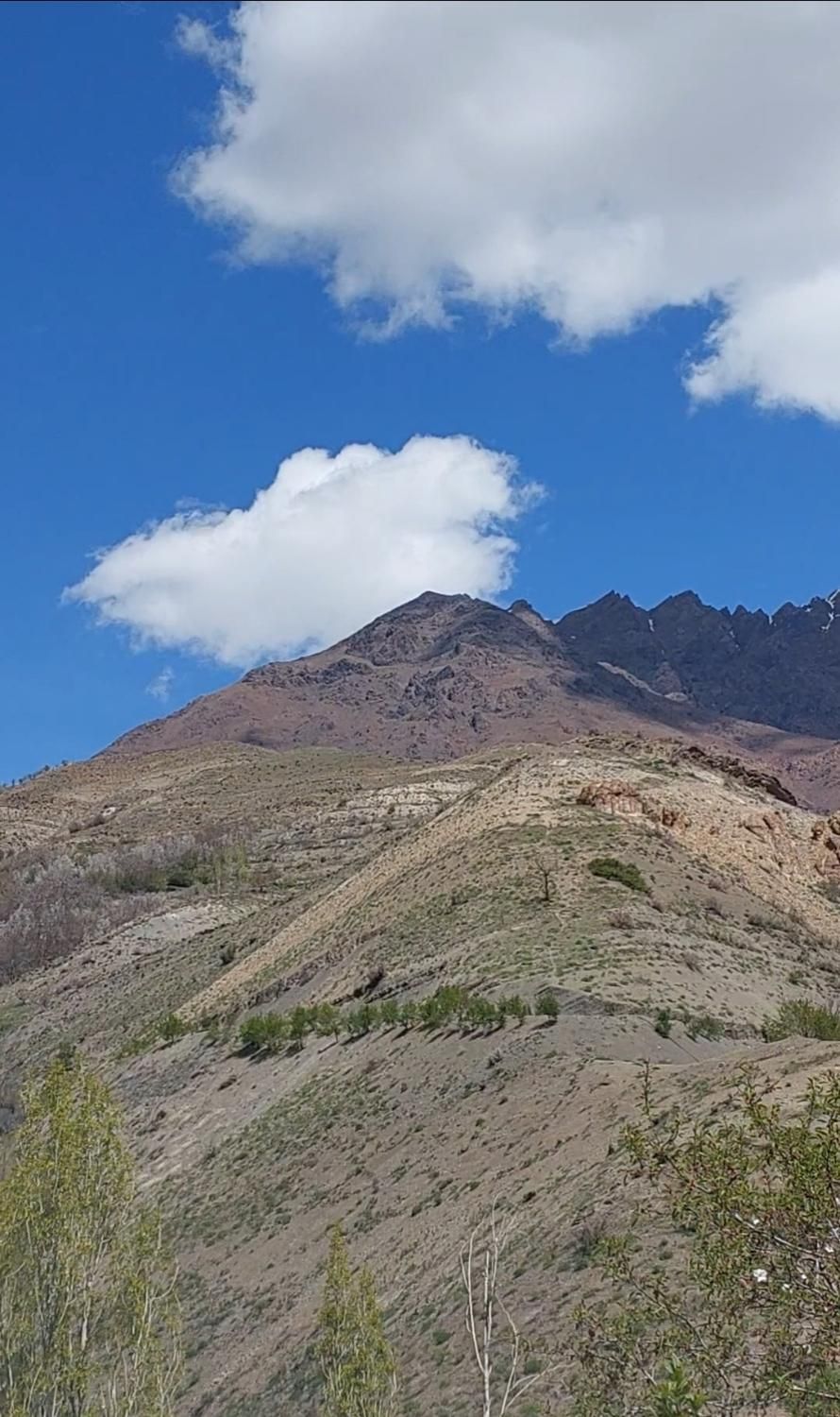 یک قطعه زمین به مساحت 1000 متر واقع در بام لواسان|فروش زمین و ملک کلنگی|لواسان, |دیوار
