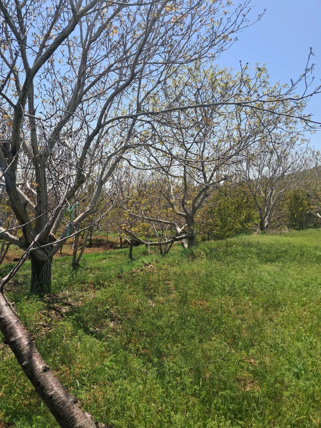 فروش زمین ۲۲۰۰ متری|فروش زمین و ملک کلنگی|قزوین, |دیوار