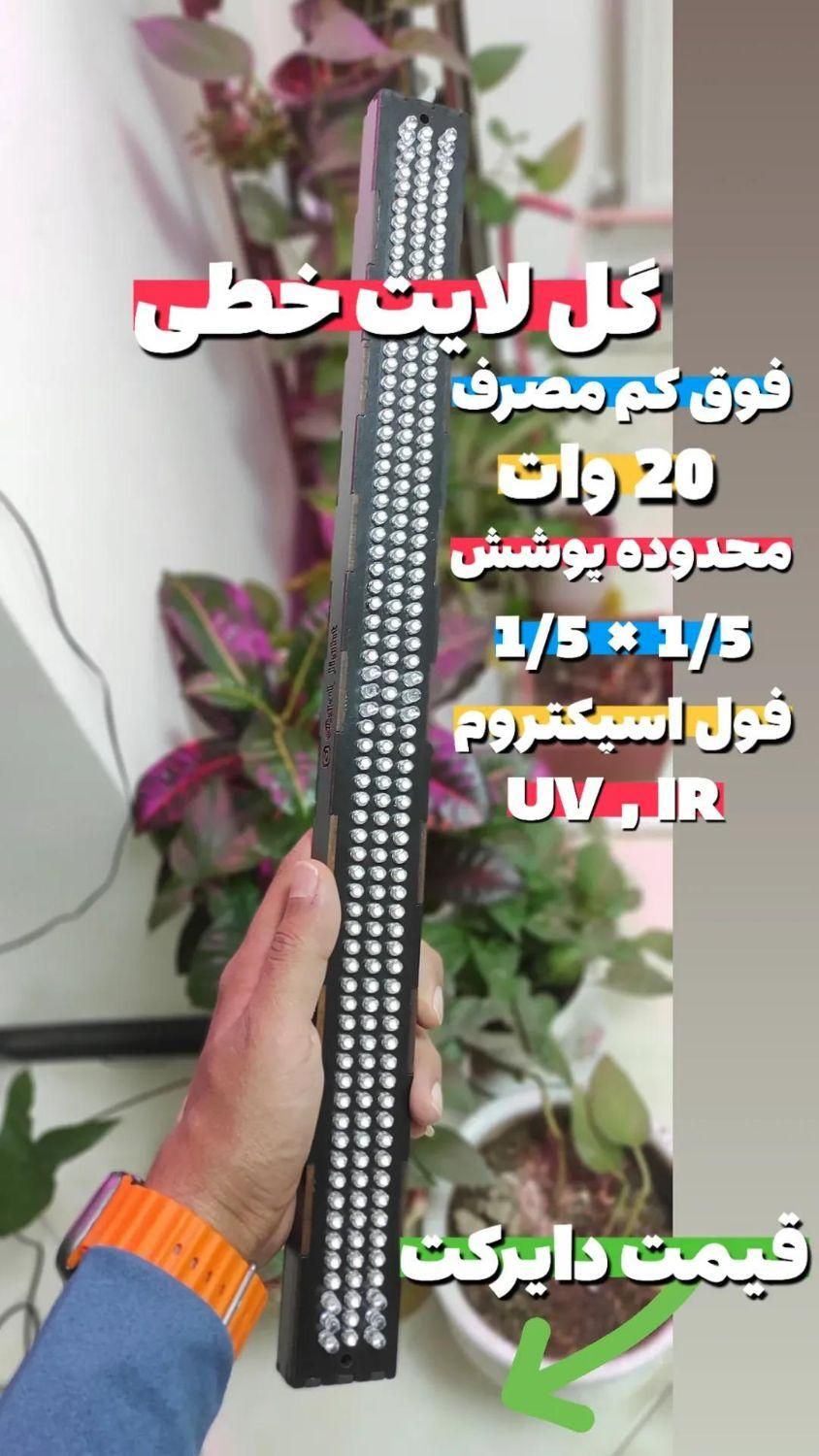 لامپ رشد گیاه (GOL LIGHT )|لامپ و چراغ|شیراز, وصال|دیوار