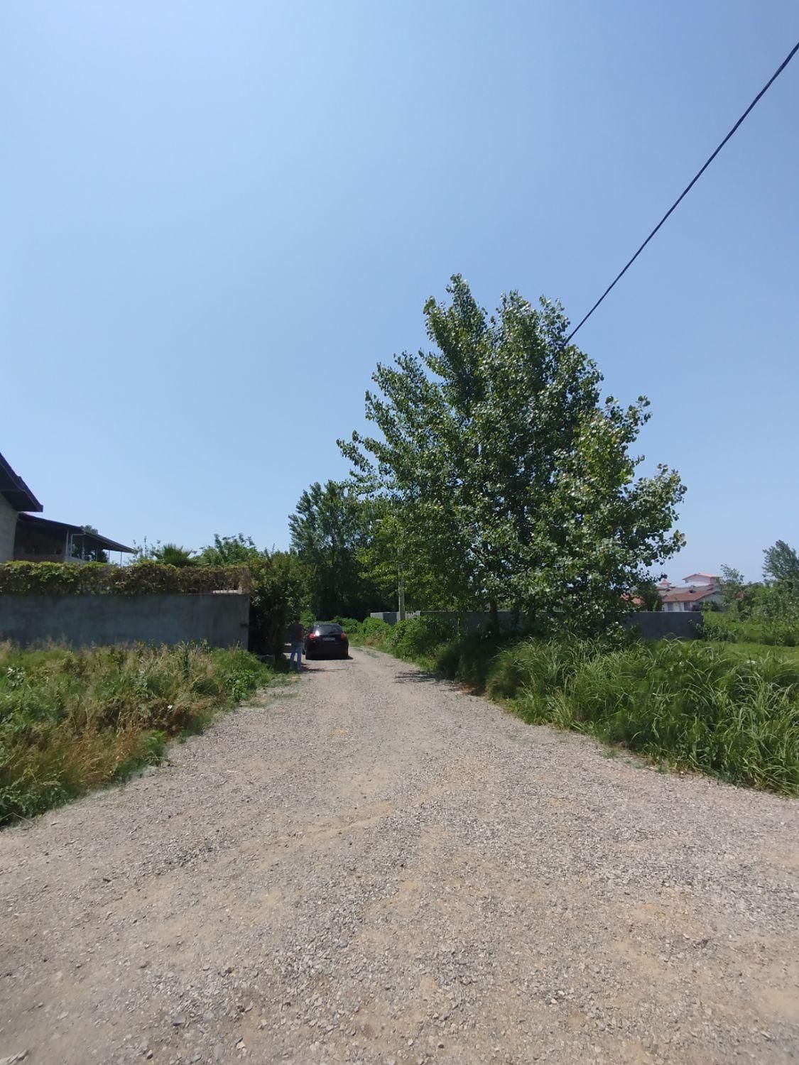 زمین دو بر قابل ساخت|فروش زمین و ملک کلنگی|شلمان, |دیوار