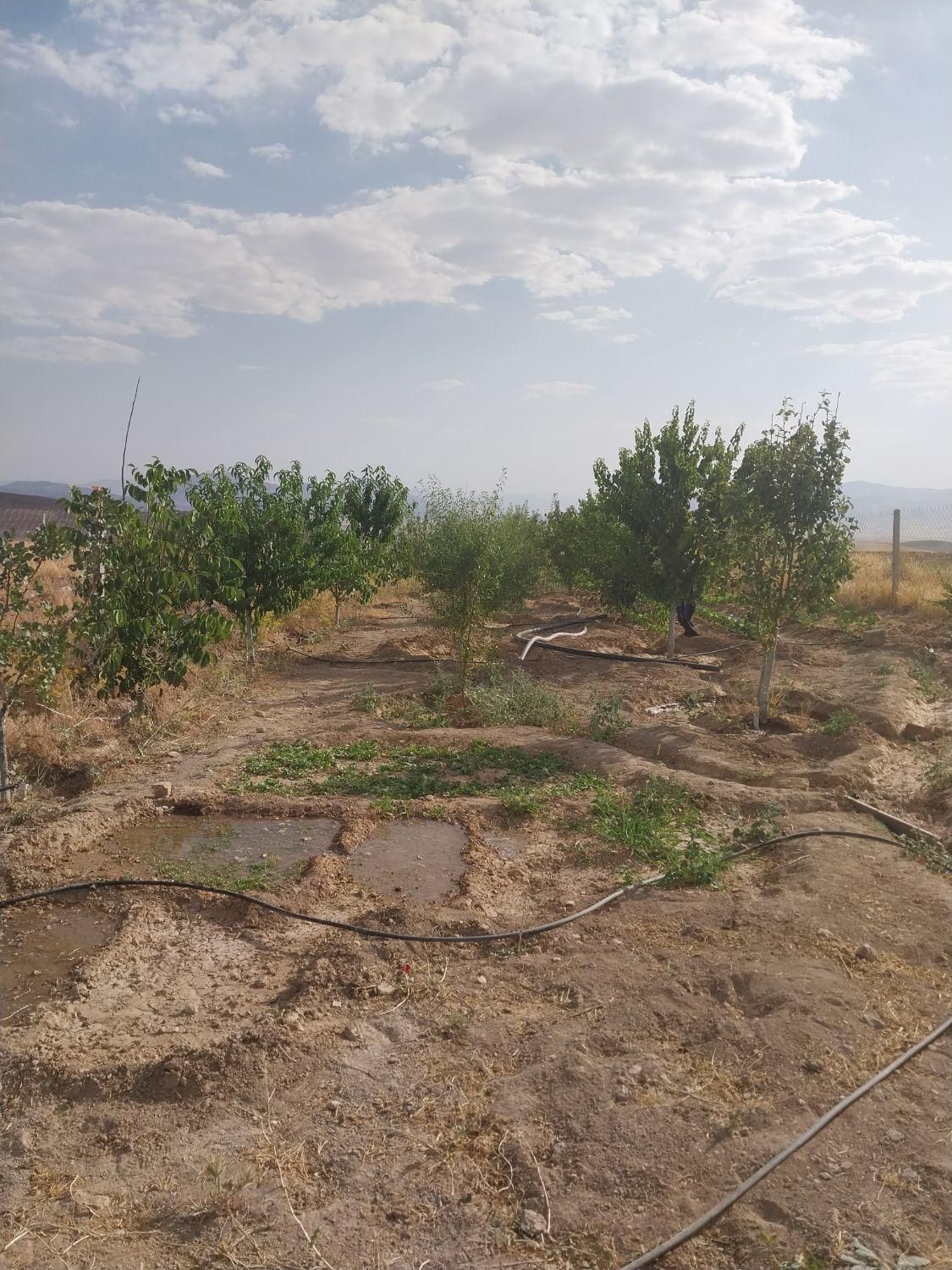 فروش باغ به متراژ ۹۰۰متر در روستای هیبت اللّه|فروش دفتر صنعتی، کشاورزی، تجاری|سنقر, |دیوار